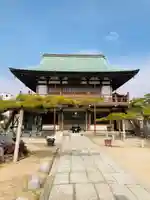 善楽寺の本殿・本堂