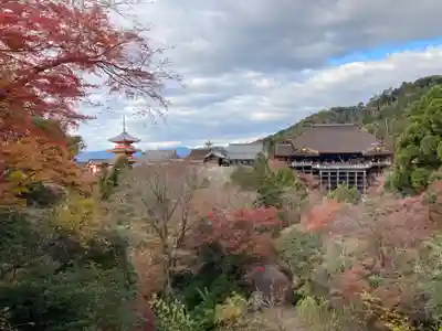 清水寺(京都府)
