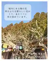 【公式】龍門院常楽寺(秩父札所十一番)(埼玉県)