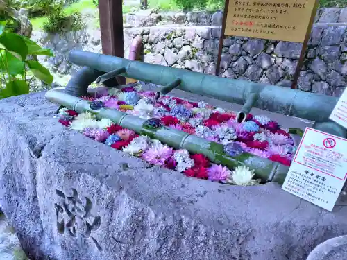 岡寺（龍蓋寺）(奈良県)