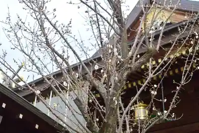 湯島天満宮(東京都)