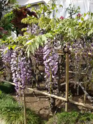 禅定院(東京都)
