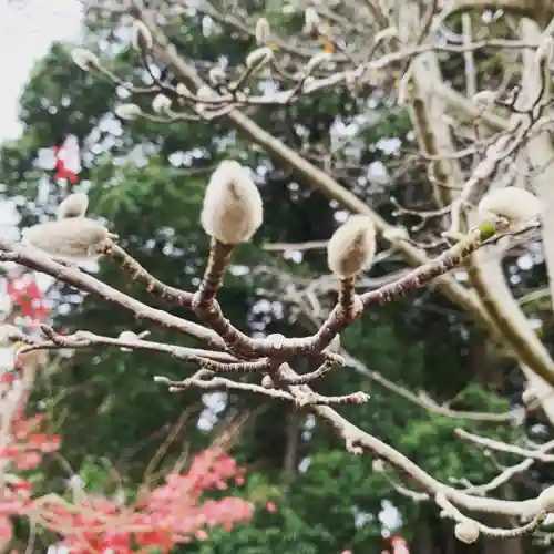 豊景神社の自然