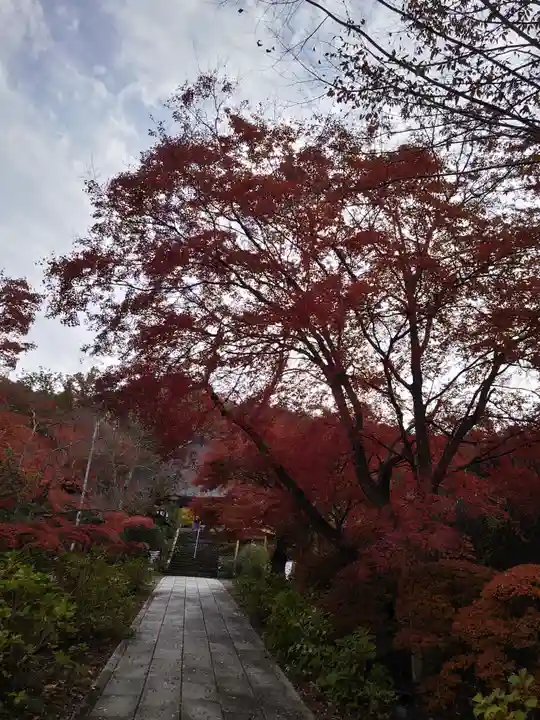 陽林寺(福島県)