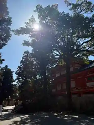 石清水八幡宮の{uncategorized: "未分類", other: "その他", undefined: "問題あり", building: "その他建物", grave: "お墓", sacred_gate: "鳥居", guardian: "狛犬", statue: "像", buddha: "仏像", history: "歴史", nature: "自然", garden: "庭園", animal: "動物", pagoda: "塔", temizu: "手水舎", mountain_gate: "山門・神門", sanctuary: "本殿・本堂", subordinate: "末社・摂社", art: "芸術", scenery: "景色", jizo: "地蔵", ema: "絵馬", goshuin: "御朱印", omikuji: "おみくじ", items: "授与品その他", amulet: "お守り", goshuincho: "御朱印帳", eats: "食事", festival: "お祭り", votive_dance: "神楽", shichigosan: "七五三参", wedding: "結婚式", experience: "体験その他", initially: "初詣", around: "周辺", anti_infection: "感染症対策"}