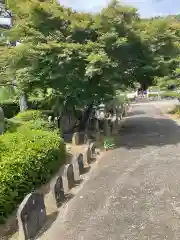 東光寺(山梨県)