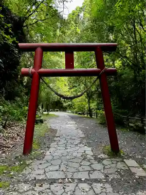 溝ノ口洞穴(鹿児島県)