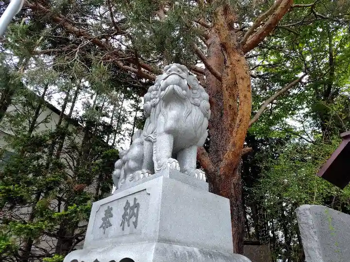 北見神社の狛犬