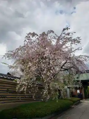 福蔵院(東京都)