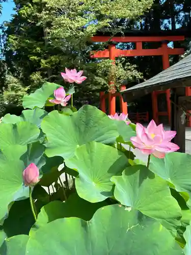 丹生都比売神社(和歌山県)