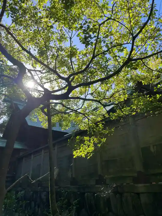 若宮神明社(愛知県)