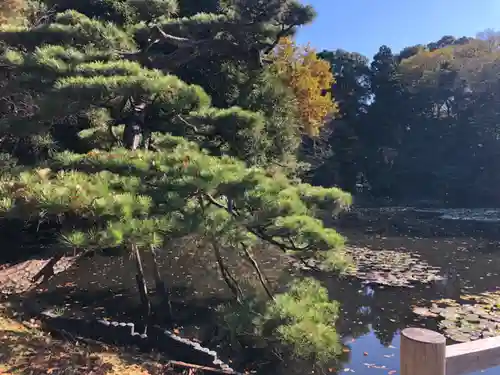 明治神宮の庭園