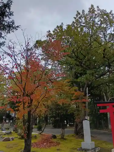 鷹栖神社(北海道)