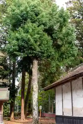 日吉大社(滋賀県)