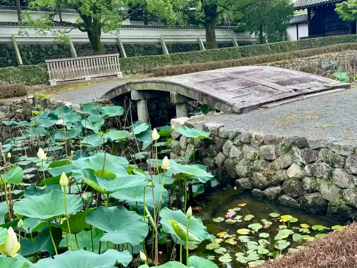 東福禅寺(東福寺)(京都府)