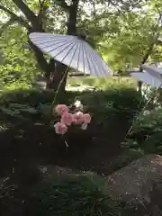 鶴岡八幡宮の庭園