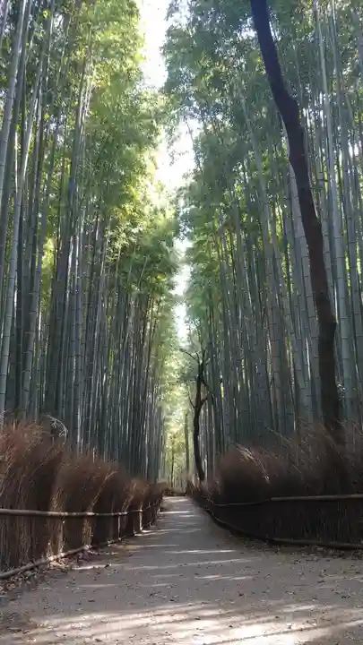 二尊院のその他建物