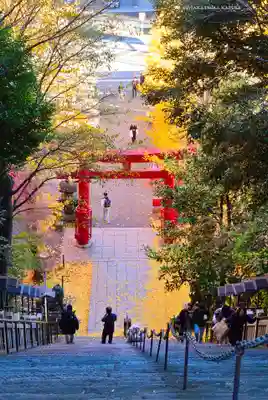 愛宕神社(東京都)
