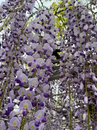 龍城神社の自然