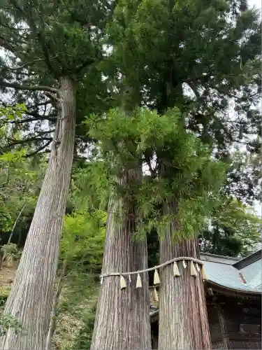 日枝神社(静岡県)
