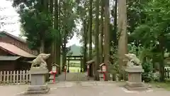 和気神社の狛犬