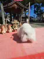 大御和神社(徳島県)
