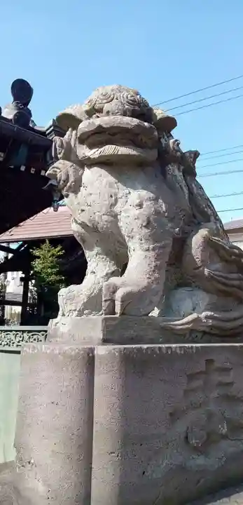 矢切神社(千葉県)