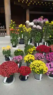 寒川神社(神奈川県)