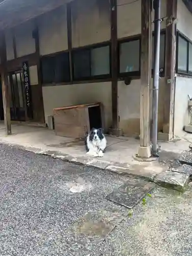 甘南美寺(岐阜県)
