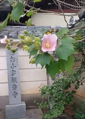 おふさ観音（観音寺）(奈良県)