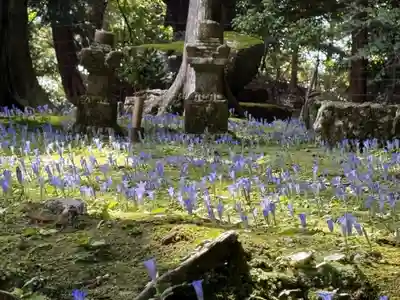 阿弥陀寺(和歌山県)