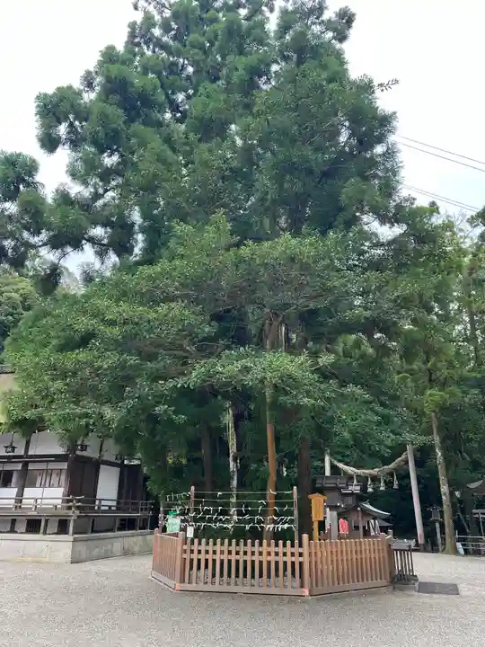 大神神社の自然