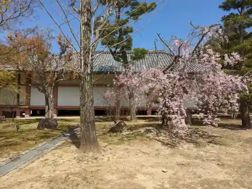  智積院(京都府)