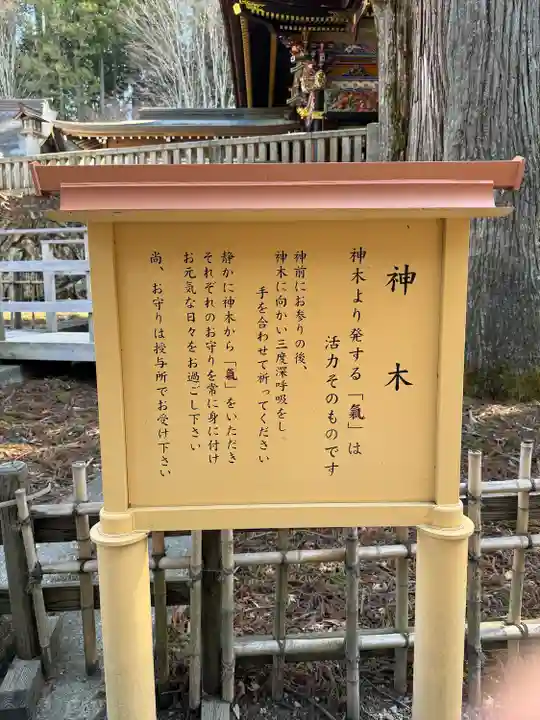 三峯神社(埼玉県)