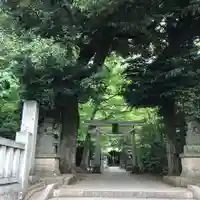小金井神社の鳥居
