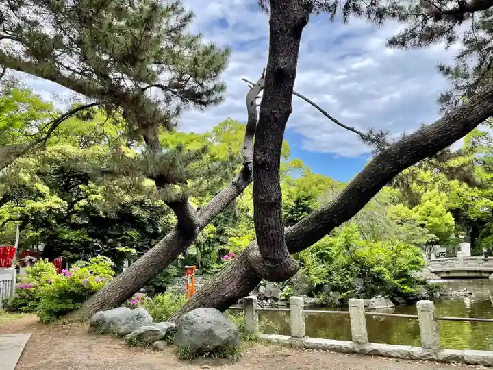 平塚八幡宮の自然