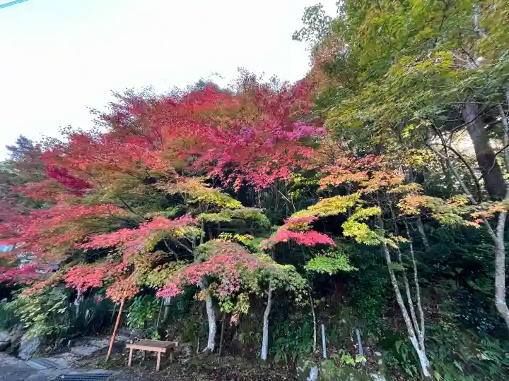 国宝 長寿寺(滋賀県)