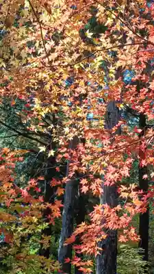 石道寺(滋賀県)