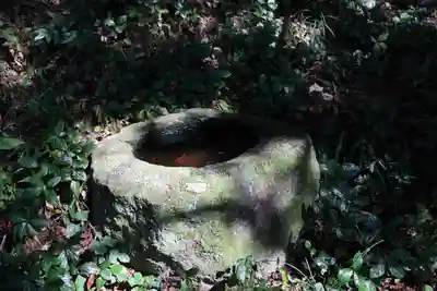 猫稲荷神社の手水舎