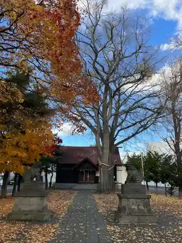 中の島神社(北海道)