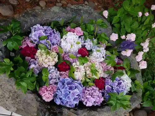発寒神社の手水舎