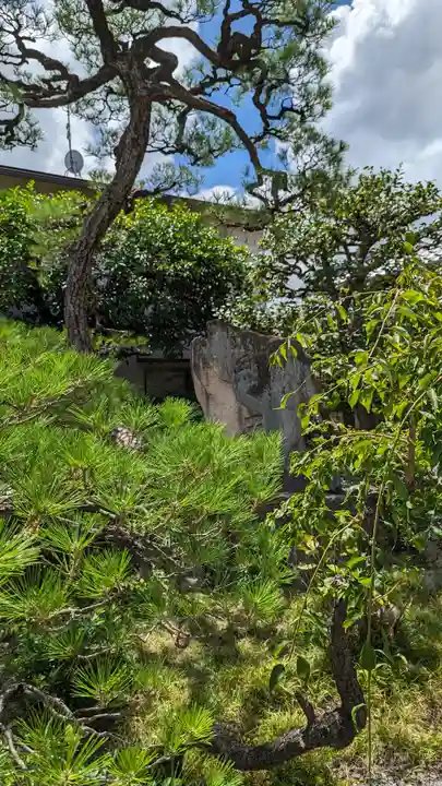 妙栄寺(京都府)