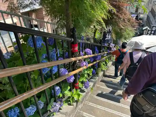 白山神社(東京都)