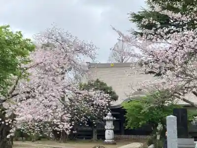 東勝寺宗吾霊堂の{uncategorized: "未分類", other: "その他", undefined: "問題あり", building: "その他建物", grave: "お墓", sacred_gate: "鳥居", guardian: "狛犬", statue: "像", buddha: "仏像", history: "歴史", nature: "自然", garden: "庭園", animal: "動物", pagoda: "塔", temizu: "手水舎", mountain_gate: "山門・神門", sanctuary: "本殿・本堂", subordinate: "末社・摂社", art: "芸術", scenery: "景色", jizo: "地蔵", ema: "絵馬", goshuin: "御朱印", omikuji: "おみくじ", items: "授与品その他", amulet: "お守り", goshuincho: "御朱印帳", eats: "食事", festival: "お祭り", votive_dance: "神楽", shichigosan: "七五三参", wedding: "結婚式", experience: "体験その他", initially: "初詣", around: "周辺", anti_infection: "感染症対策"}