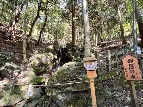 出雲大神宮(京都府)