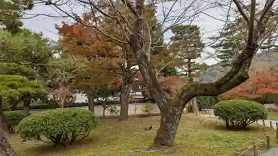 平等院(京都府)