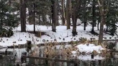 永山神社の動物