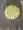 ゆーすけ