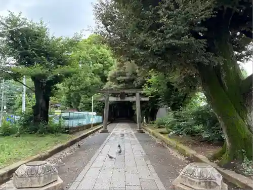 渋谷氷川神社(東京都)