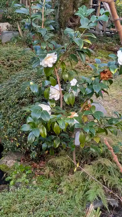 宝蔵寺(京都府)